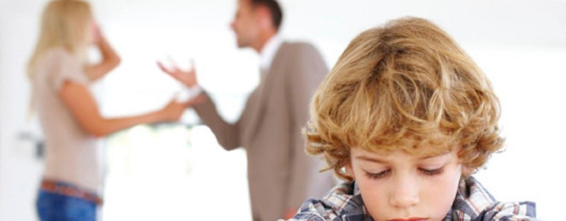 Child Custody in Husband’s Hands After Matrimonial Discord Does Not Constitute Cruelty Under Section 498a IPC